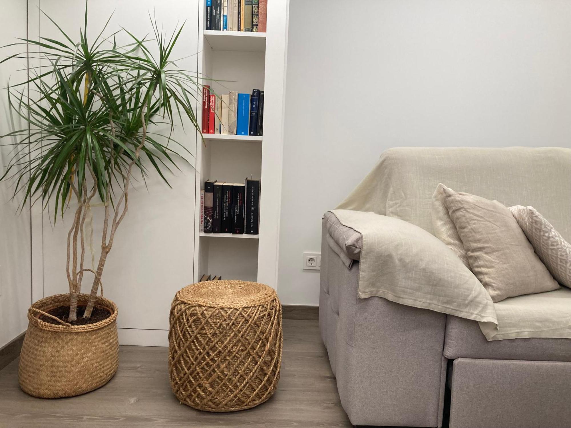 Centrico Con Wifi Y Climatizado De 1 Y Sofa-cama 3 Personas *